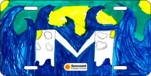 Geovanny Mejias-Castillo