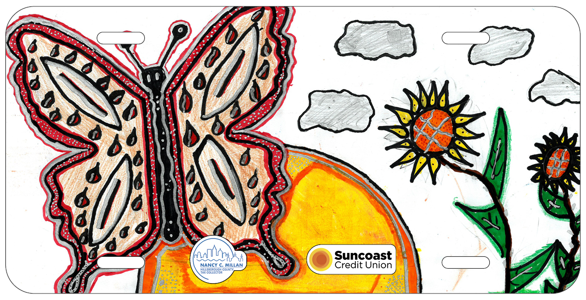 Vitoria Camilly Gomes de Silva