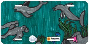 Saul Martinez-Hernandez