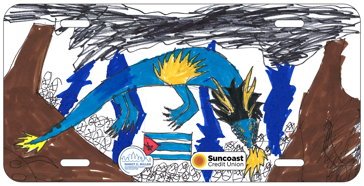 Fabian Davila Garcia