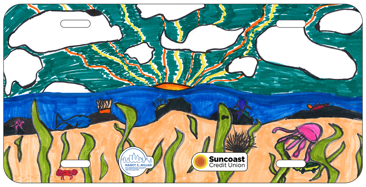 Dual Villemote Hicks