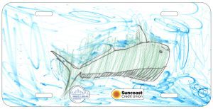 Christopher Hillmann